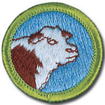 Animal Husbandry Merit Badge